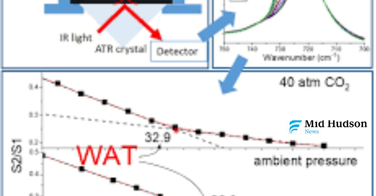 Understanding WAT Wax Behavior in Crude Oil